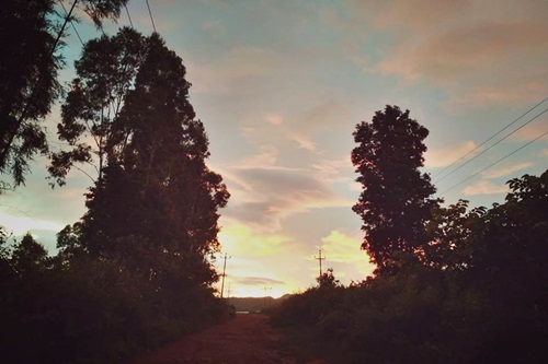 Thankful for the guiding light