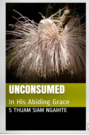 Unconsumed