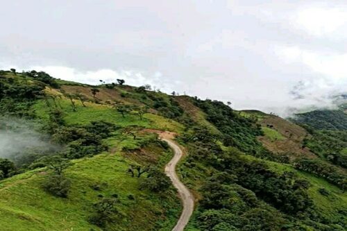 Self-descriptive Picture