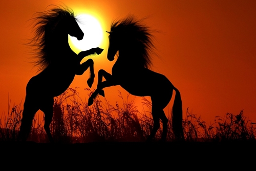 stand firm on your faith