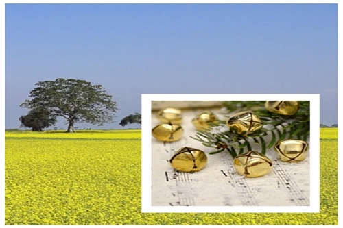 the sound of joy echoing